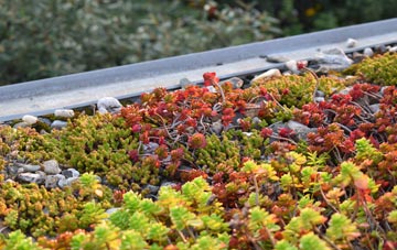 the cost of Felixstowe Ferry green roof installation
