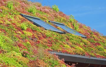 Felixstowe Ferry living roof systems